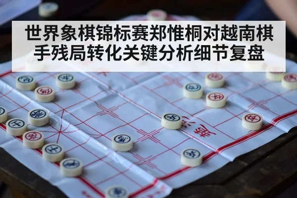 世界象棋锦标赛郑惟桐对越南棋手残局转化关键分析细节复盘 - Kaiyun
